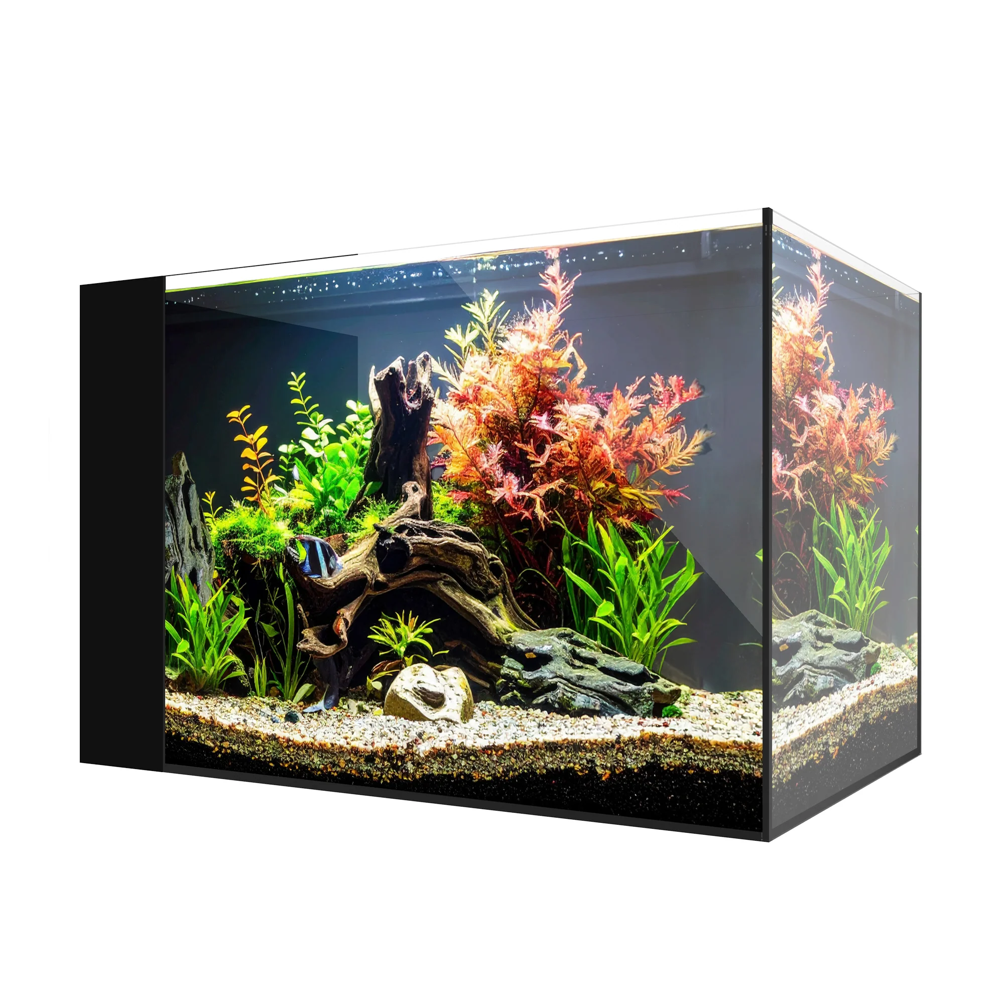 AIO Freshwater